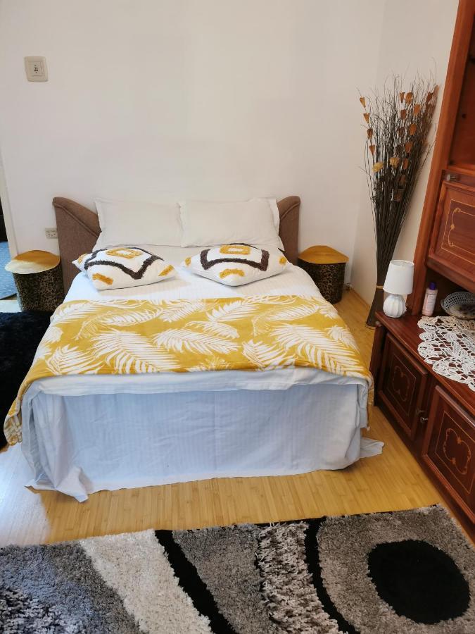 Apartament Maysa 克卢日-纳波卡 外观 照片