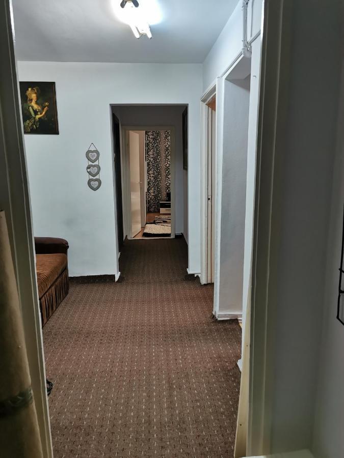 Apartament Maysa 克卢日-纳波卡 外观 照片