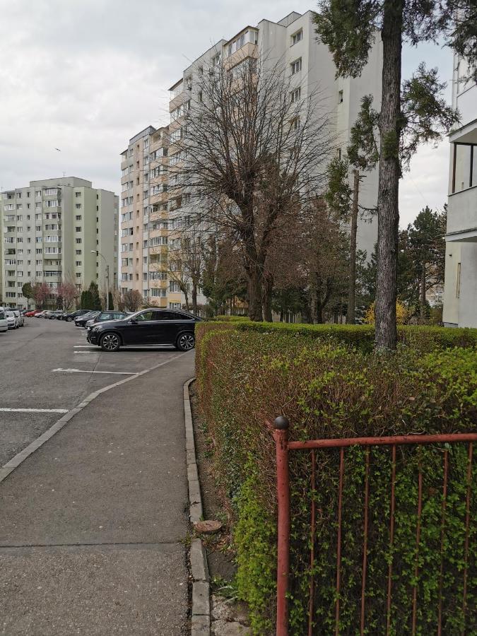 Apartament Maysa 克卢日-纳波卡 外观 照片